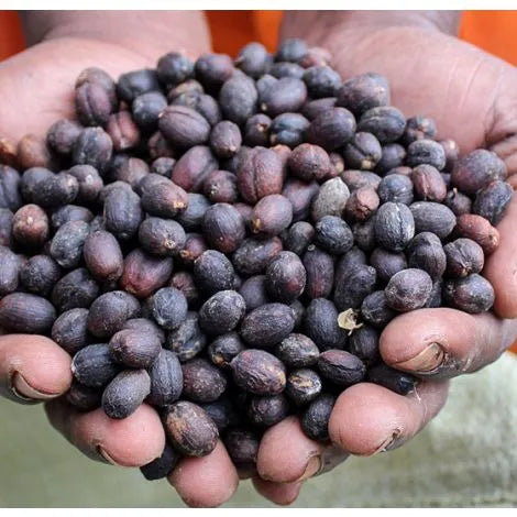 Caffè mono origine - Africa Uganda 1000 gr in chicchi