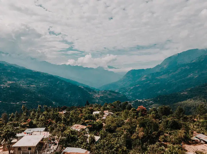 Finca Jabiru | Guatemala