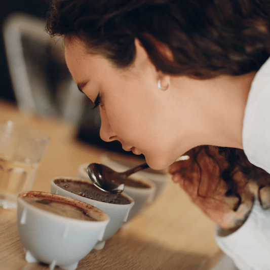 Degustazione di caffè professionale