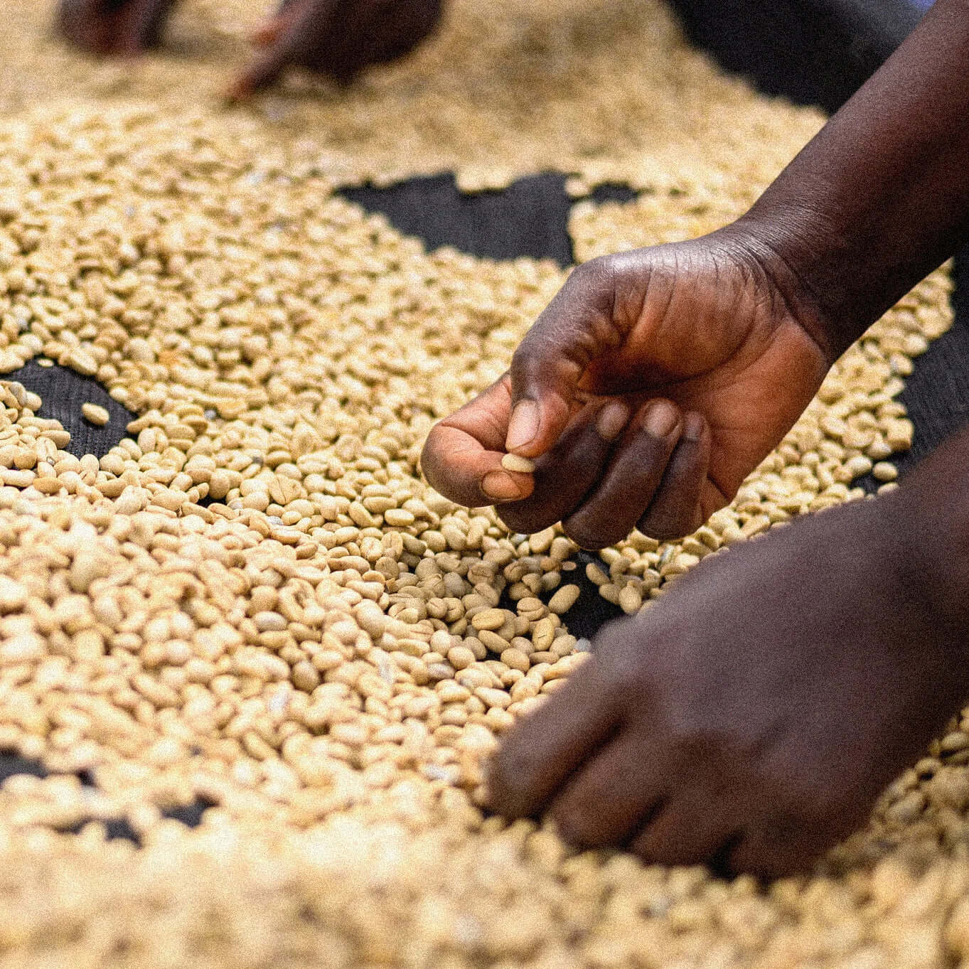 Tinganga | Kenya