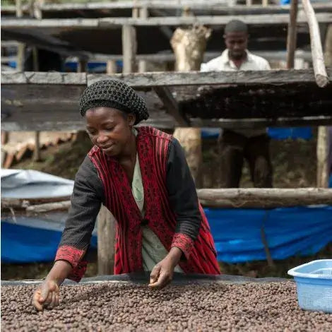 Cascara | Congo