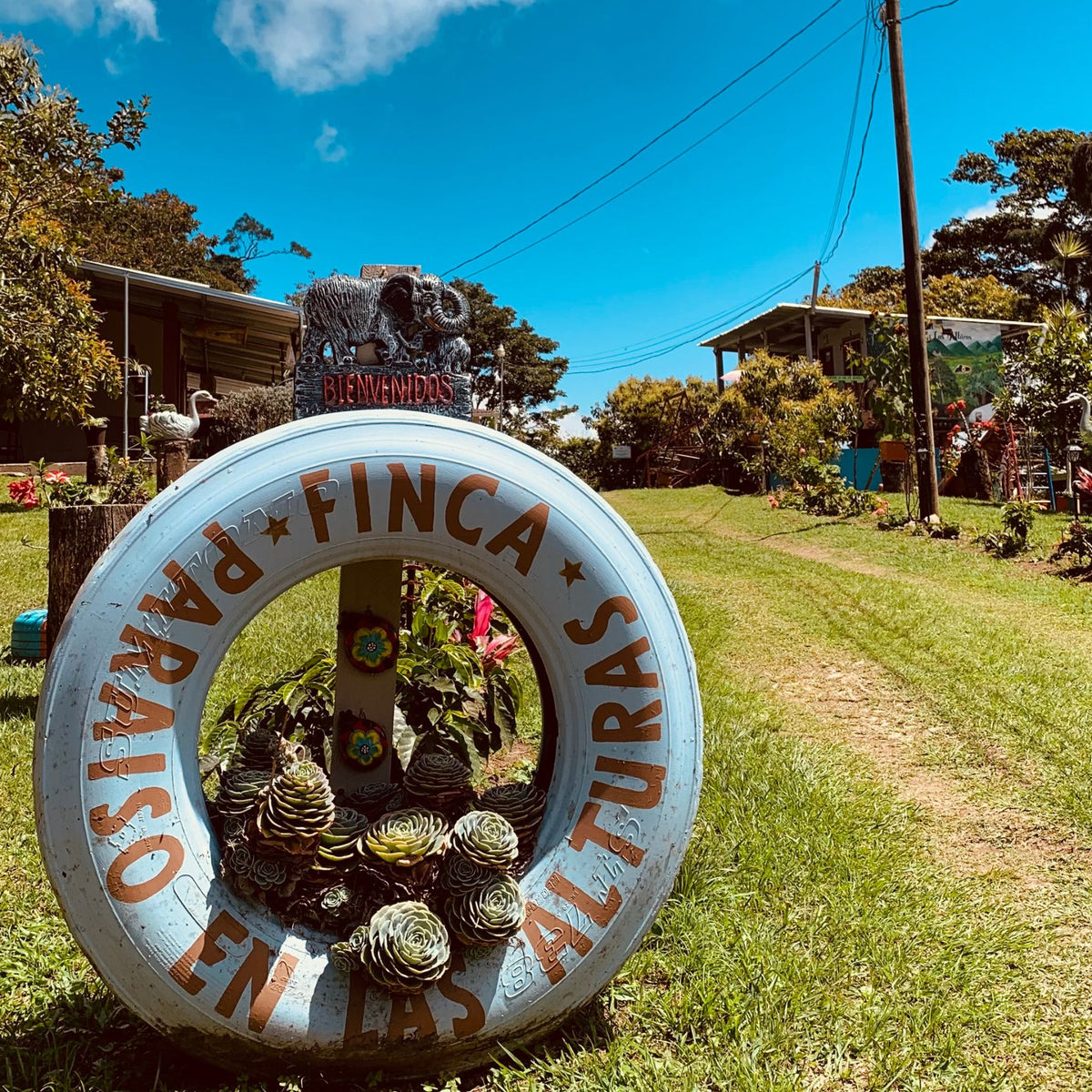 Honduras Finca El Paraiso